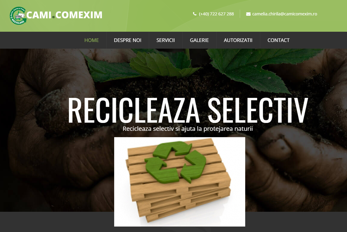 colectare lemn
