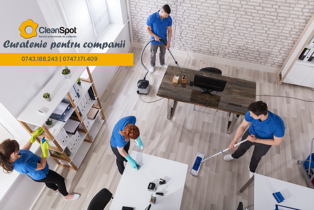 curatenie pentru companii
