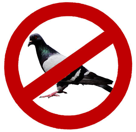 anti-porumbei