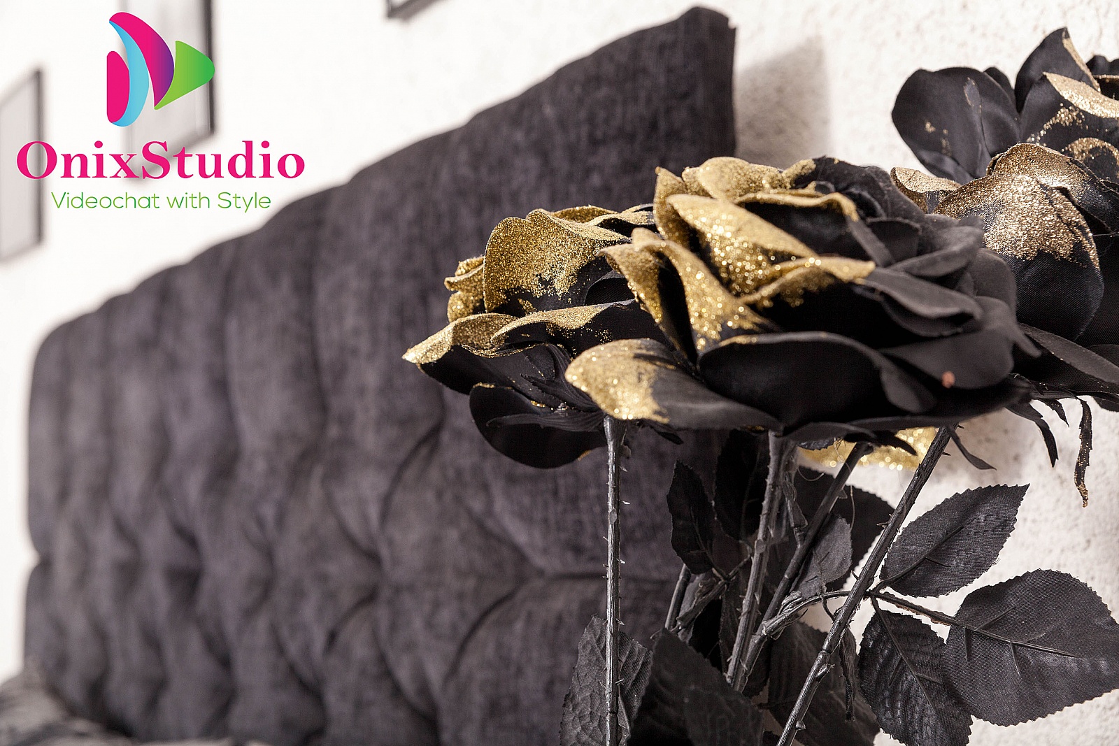 onixstudio.ro