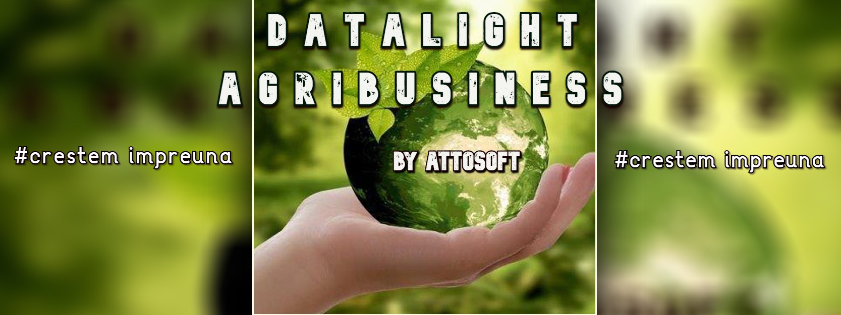 solutii ERP