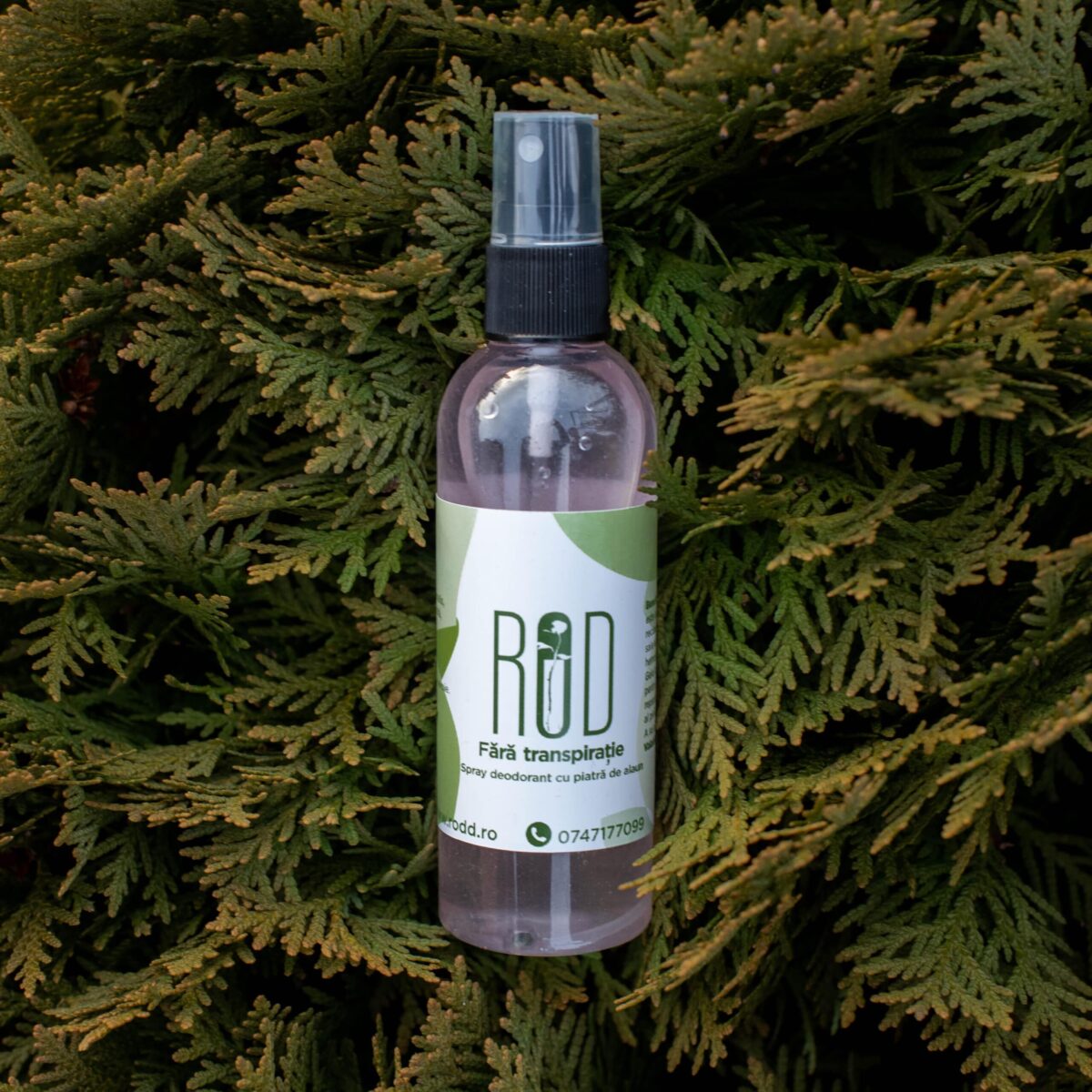 antiperspirant rod